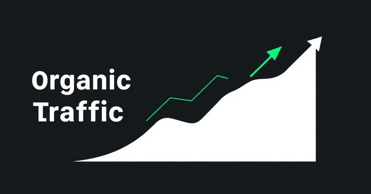 SEO za večji organski promet